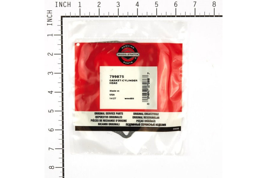 Guarnizione-Testata - 799875 - Originale Briggs & Stratton