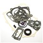 Serie Guarnizioni Intek Bicilindrici Verticali Da 18 A 22 Hp 405700, 406700, 407700 Ecc.  - 694012 - Originale Briggs & Stratton