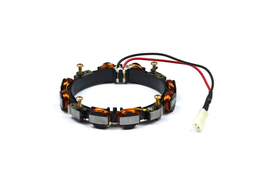 Alternatore Dual Circuit Ex 696459 - 592831 - Originale Briggs & Stratton