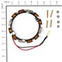 Alternatore Dual Circuit Ex 696459 - 592831 - Originale Briggs & Stratton