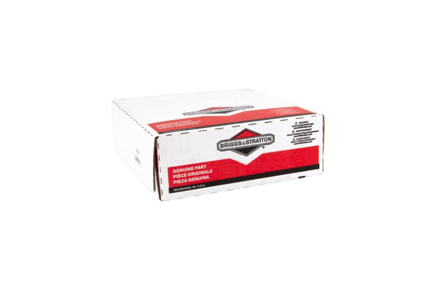 Fascetta Serbatoio Ex 291490 - 691937 - Originale Briggs & Stratton