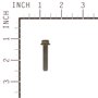 Screw - 791784 -  Briggs & Stratton - Genuine Spare Parts