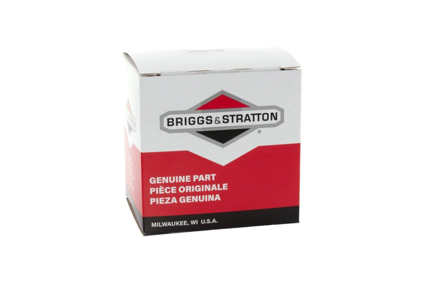 Carburatore - 597096 - Originale Briggs & Stratton