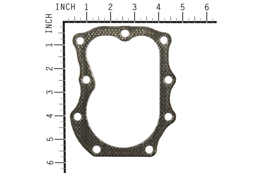 Guarn. Testa (4121 Pz 5) - 272163S - Originale Briggs & Stratton