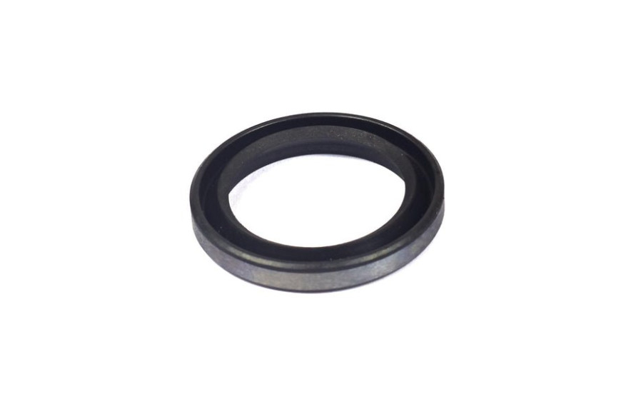 Paraolio Pto - 294606S - Originale Briggs & Stratton