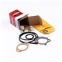 Kit Carburatore. Q.P. Ex 493762 498261 - 498260 - Originale Briggs & Stratton - sostituisce - 498261