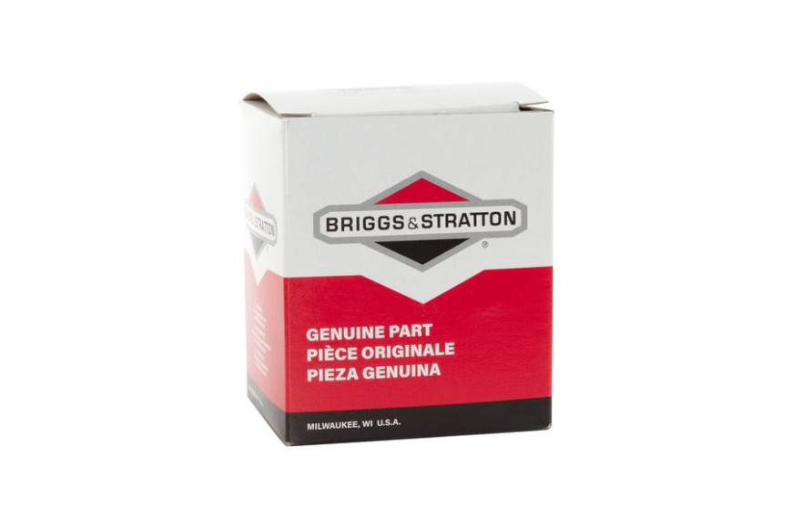 Carburatore Mod.09P700 Con Primer - 591110 - Originale Briggs & Stratton