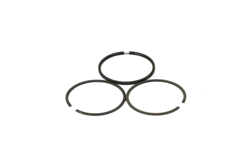 Serie Anelli 0.20 Ex 391782  - 499998 - Originale Briggs & Stratton
