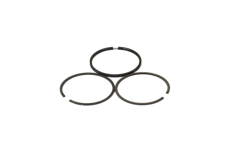 Serie Anelli 0.20 Ex 391782  - 499998 - Originale Briggs & Stratton