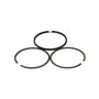 Serie Anelli 0.20 Ex 391782  - 499998 - Originale Briggs & Stratton