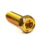 Vite Fiss.Carb.Ex 094913 093357 - 690953 - Originale Briggs & Stratton