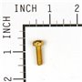 Vite Fiss.Carb.Ex 094913 093357 - 690953 - Originale Briggs & Stratton
