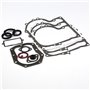 Set Guarnizioni Ex 490525 - 494241 - Originale Briggs & Stratton