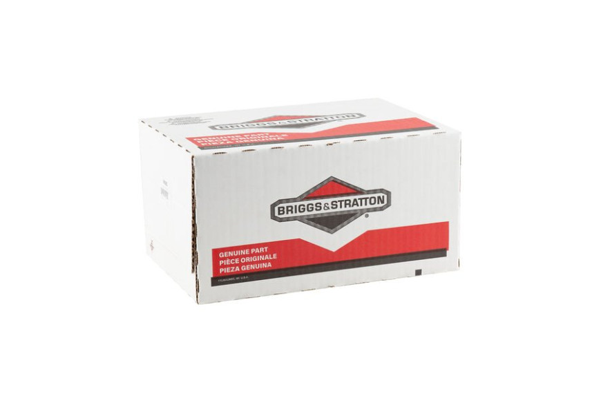 Protezione Marmitta - 593953 - Originale Briggs & Stratton - sostituisce - 693583