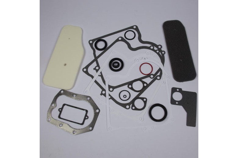Serie Guarnizioni Vecchi 10/11 Hp Verticali 220700, 252700 Ecc.  - 393411 - Originale Briggs & Stratton