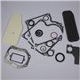 Serie Guarnizioni Vecchi 10/11 Hp Verticali 220700, 252700 Ecc.  - 393411 - Originale Briggs & Stratton