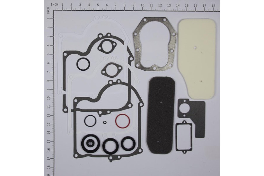 Serie Guarnizioni Vecchi 10/11 Hp Verticali 220700, 252700 Ecc.  - 393411 - Originale Briggs & Stratton