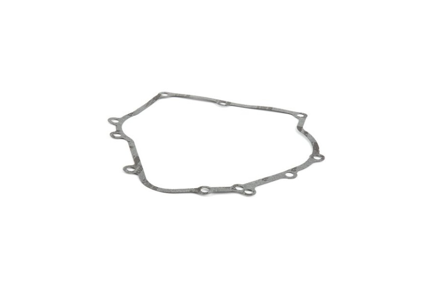 Guarnizione Flangia - 710216 - Originale Briggs & Stratton