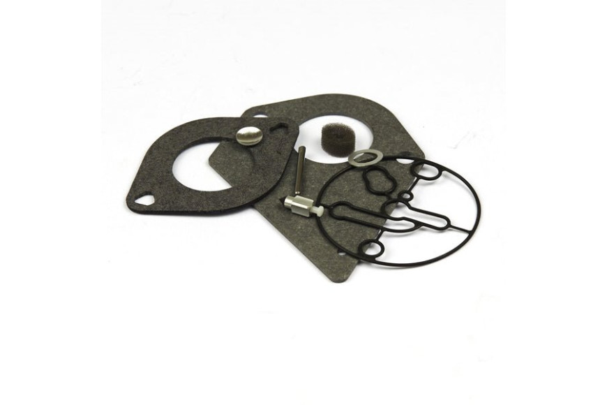 Kit Guarnizioni Carburatore - 695427 - Originale Briggs & Stratton - sostituisce - 695428