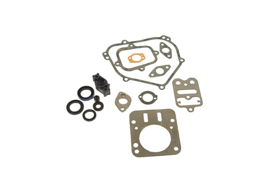 Guarnizione Set Ex 695155 - 698216 - Originale Briggs & Stratton