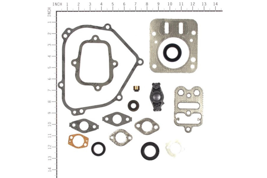Guarnizione Set Ex 695155 - 698216 - Originale Briggs & Stratton