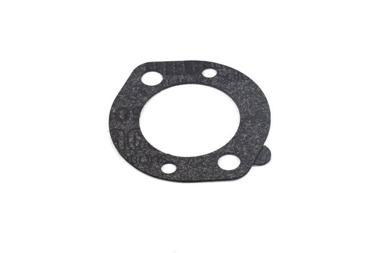 Gasket-Air - Originale Briggs & Stratton - 696024 