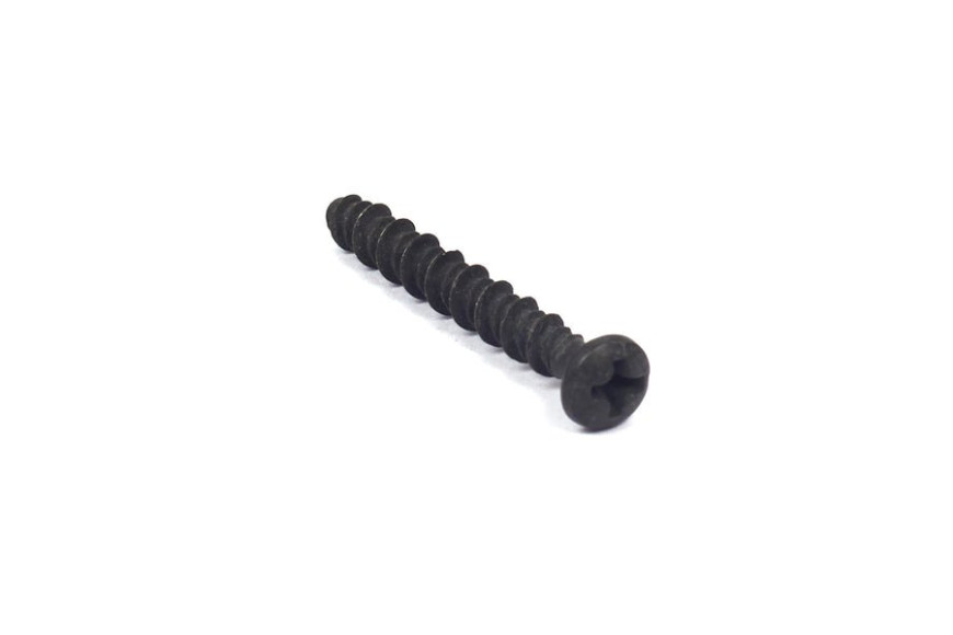 Vite Phillips Ex 095050 - 690700 - Originale Briggs & Stratton