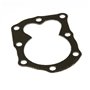 Guarnizione Testa Sprint, Quattro Dal 1995 98900, 9D900, 10A900, 10D900 Ecc.  - 698717 - Originale Briggs & Stratton