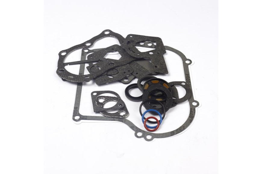 Serie Guarnizioni Vecchi 4 E 5 Hp Orizzontali 100200, 130200, 132200 Ecc.  - 495603 - Originale Briggs & Stratton