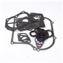 Serie Guarnizioni Vecchi 4 E 5 Hp Orizzontali 100200, 130200, 132200 Ecc.  - 495603 - Originale Briggs & Stratton
