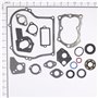 Serie Guarnizioni Vecchi 4 E 5 Hp Orizzontali 100200, 130200, 132200 Ecc.  - 495603 - Originale Briggs & Stratton