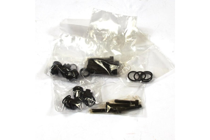 Kit Valvole Check - 190591GS - Originale Briggs & Stratton