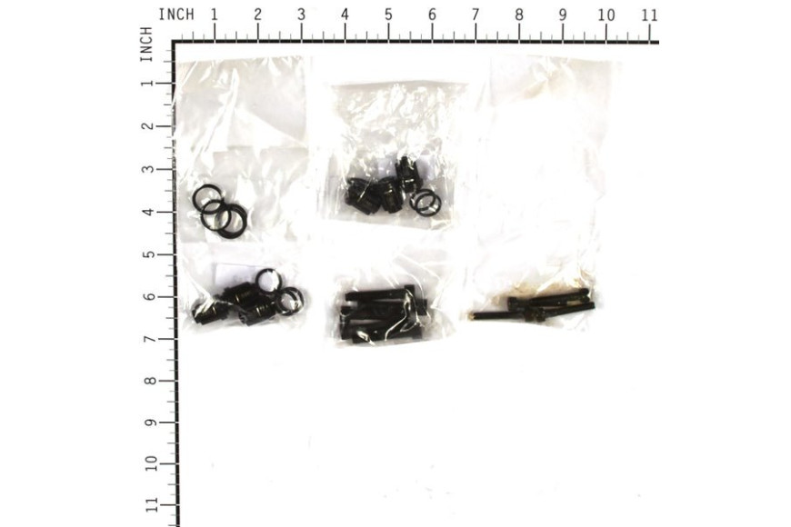 Kit Valvole Check - 190591GS - Originale Briggs & Stratton