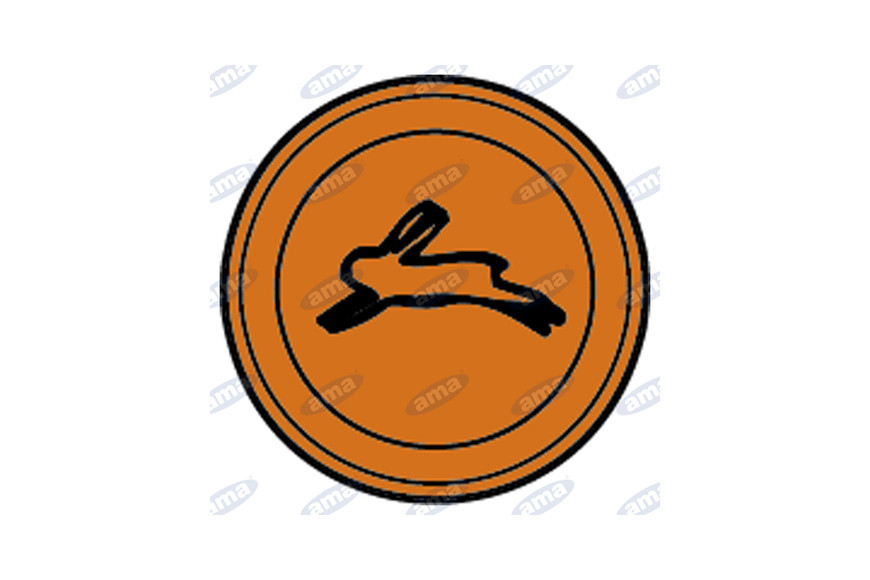 Spia Arancio Marcia Veloce - Ama