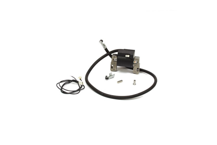 Bobina Ex 394963/393993/398265 - 398811 - 398811 - Originale Briggs & Stratton
