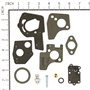 Kit Carburatore Ex 494624 - 495606 - Originale Briggs & Stratton