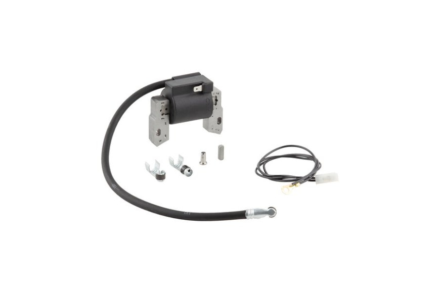 Bobina Ex 793281/793352/397316 - 591420 - Originale Briggs & Stratton
