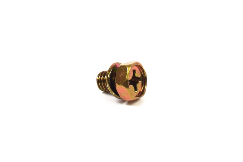 Screw - 691982 -  Briggs & Stratton - Genuine Spare Parts