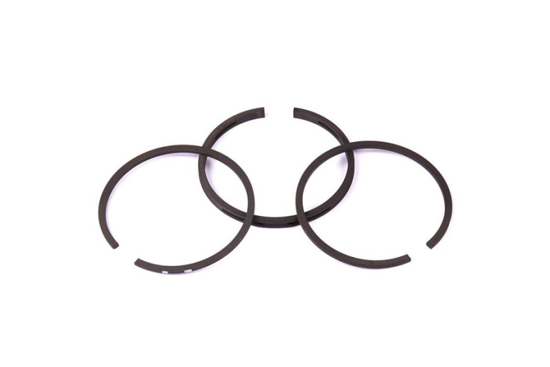 Serie Anelli Std 299742  - 298982 - Originale Briggs & Stratton