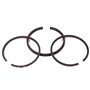 Serie Anelli Std 299742  - 298982 - Originale Briggs & Stratton