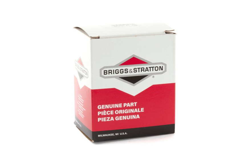 Pompa Carburante - 846824 - Originale Briggs & Stratton