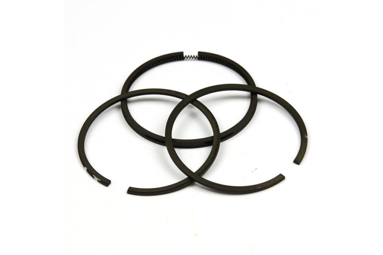 Serie Segmenti Std Ex 393881 - 690014 - Originale Briggs & Stratton - sostituisce - 299743