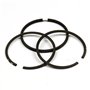 Serie Segmenti Std Ex 393881 - 690014 - Originale Briggs & Stratton - sostituisce - 299743
