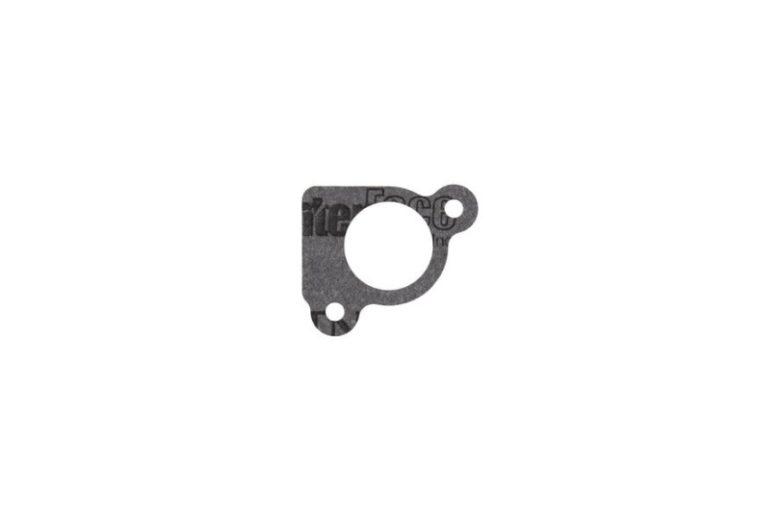 Gasket-Intake - 794306 -  Briggs & Stratton - Genuine Spare Parts