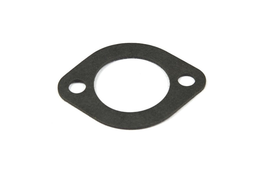 Guarnizione Ex 270884 - 692219 - Originale Briggs & Stratton