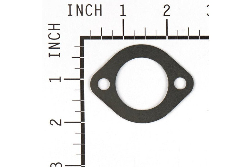 Guarnizione Ex 270884 - 692219 - Originale Briggs & Stratton