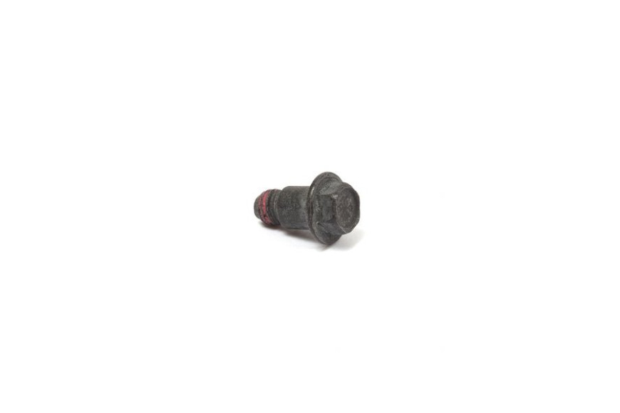 Vite - 699201 - Originale Briggs & Stratton