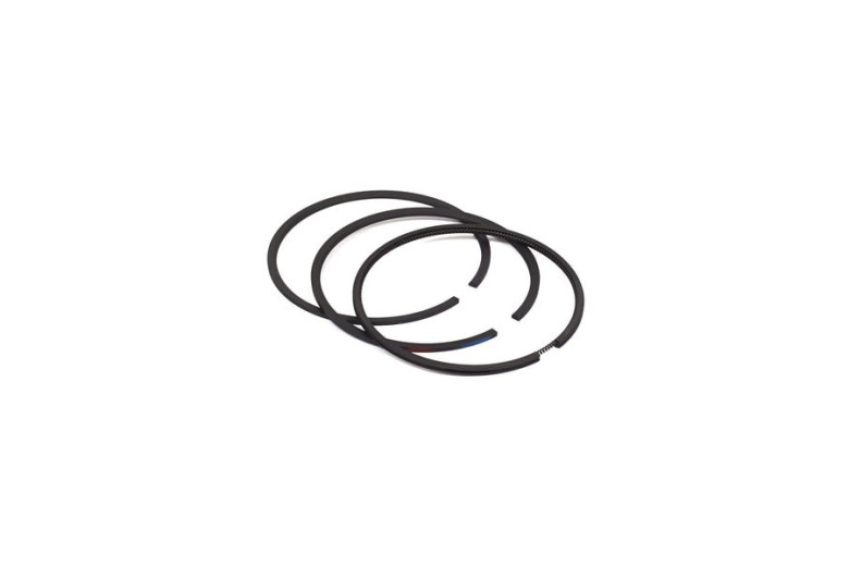 Serie Anelli  - 499631 - Originale Briggs & Stratton