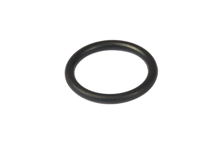 Anello Di Standard - 270344S - Originale Briggs & Stratton