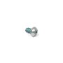 Vite 7X16Mm - Originale Snapper - 1754203YP